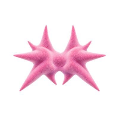 Myna, a fuzzy pink star